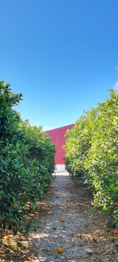 Вилла Quinta Dos I'S - Algarve Ferrarias  Экстерьер фото